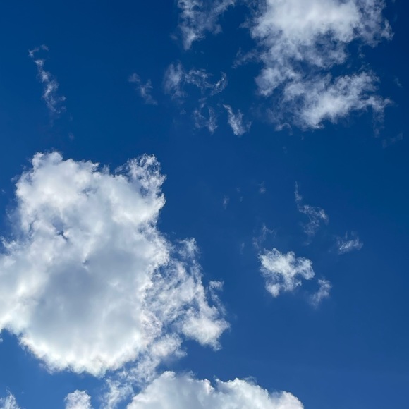 Meet your Posher, Klancy - Picture 5 of 12